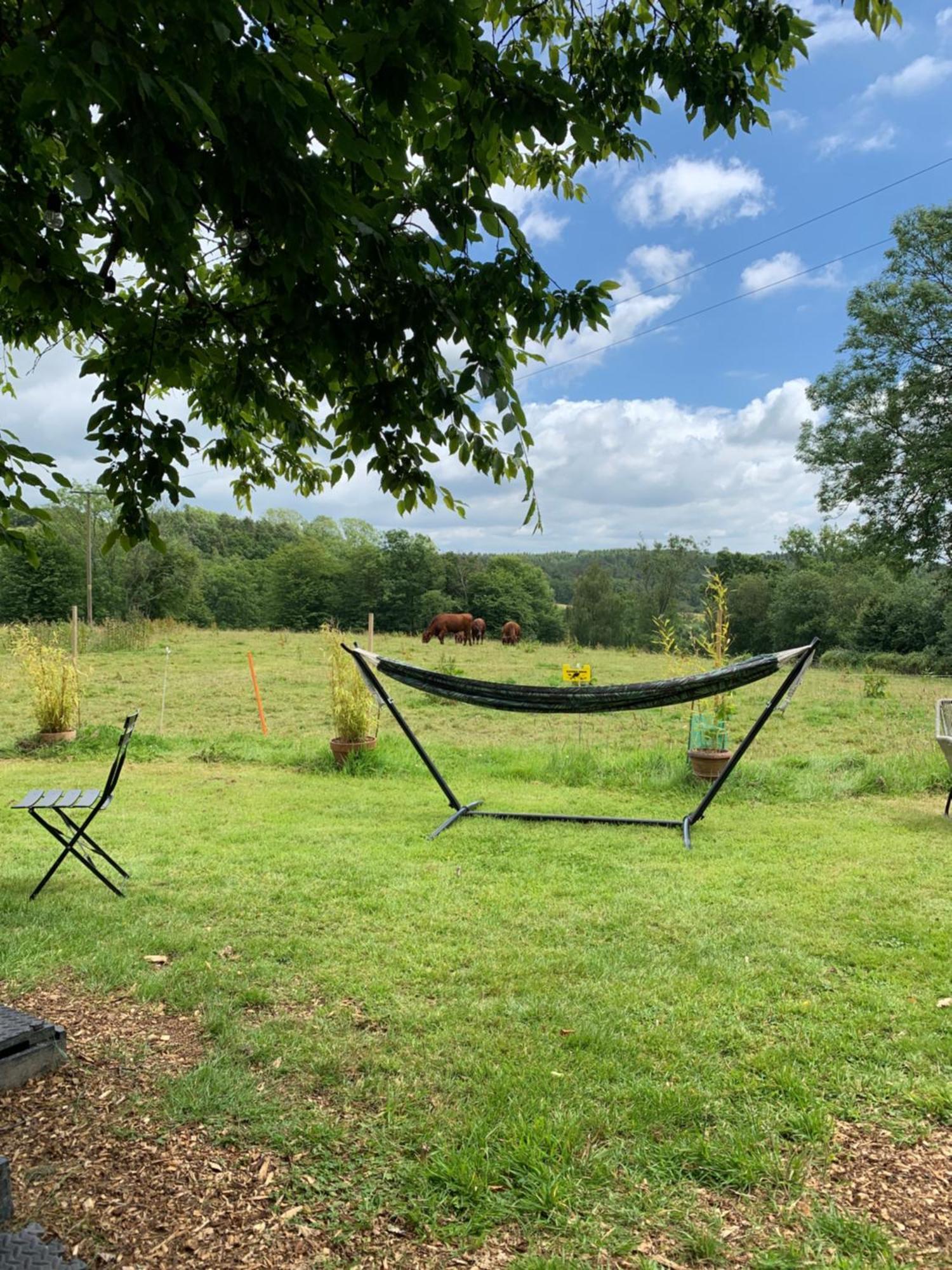 American School Bus Retreat With Hot Tub In Sussex Meadow Uckfield Exterior foto